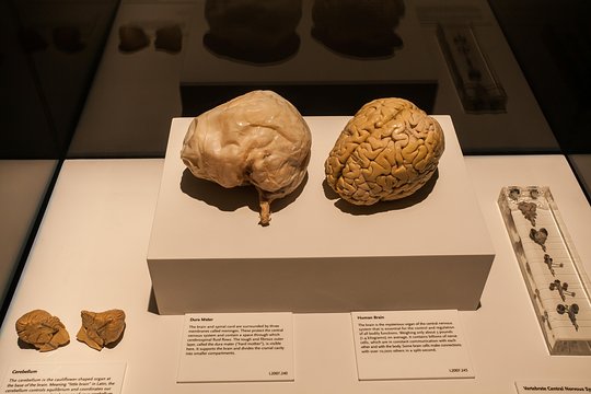 Tour image 8