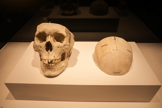 Tour image 10