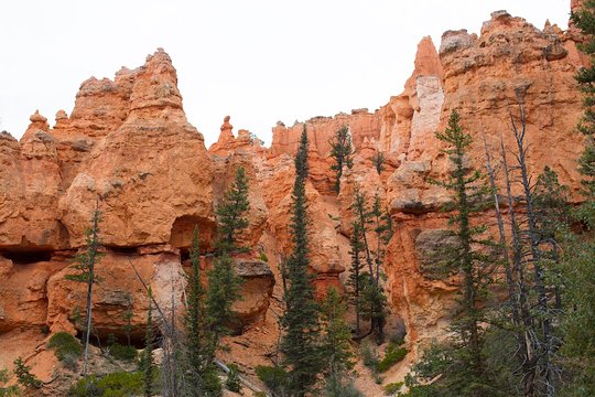 Tour image 8