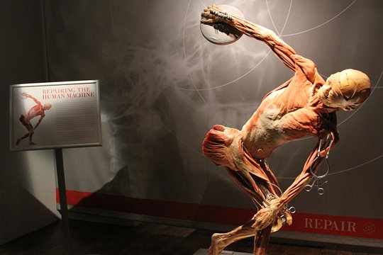 Tour image 4