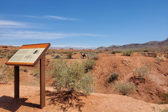 Tour image 13